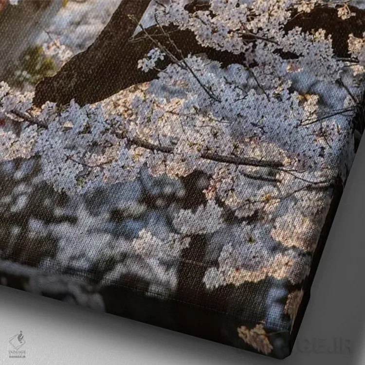 تابلو دکوراتیو Tokyo, Japan,درخت گیلاس، توکیو، ژاپن اثر ماتئو کولومبو - نمای نزدیک بافت بوم