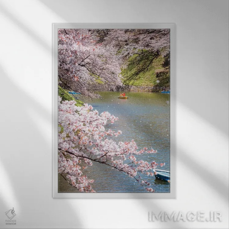 تابلو دکوراتیو Japan III,شکوفه گیلاس در توکیو، ژاپن III اثر ماتئو کولومبو - نمای قابدار سفید