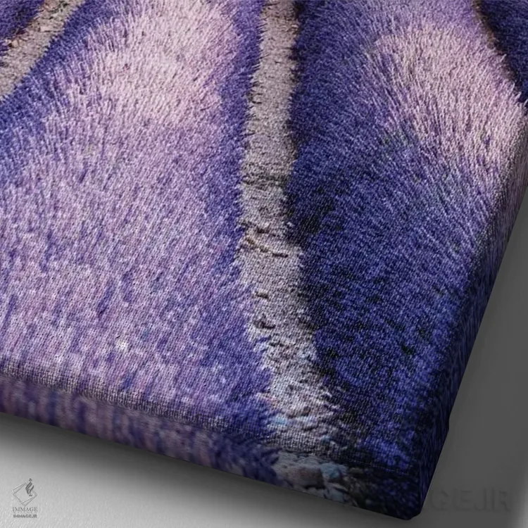 تابلو دکوراتیو Provence I,مزرعه اسطوخودوس، پروانس I اثر ماتئو کولومبو - نمای نزدیک بافت بوم