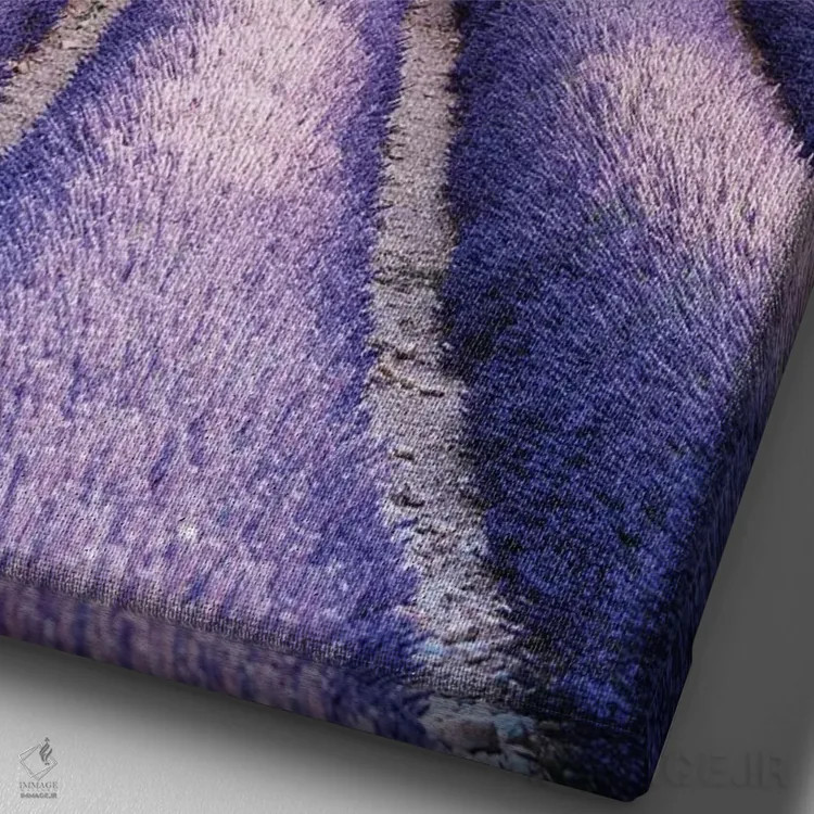 تابلو دکوراتیو Provence I,مزرعه اسطوخودوس، پروانس I اثر ماتئو کولومبو - نمای نزدیک بافت بوم