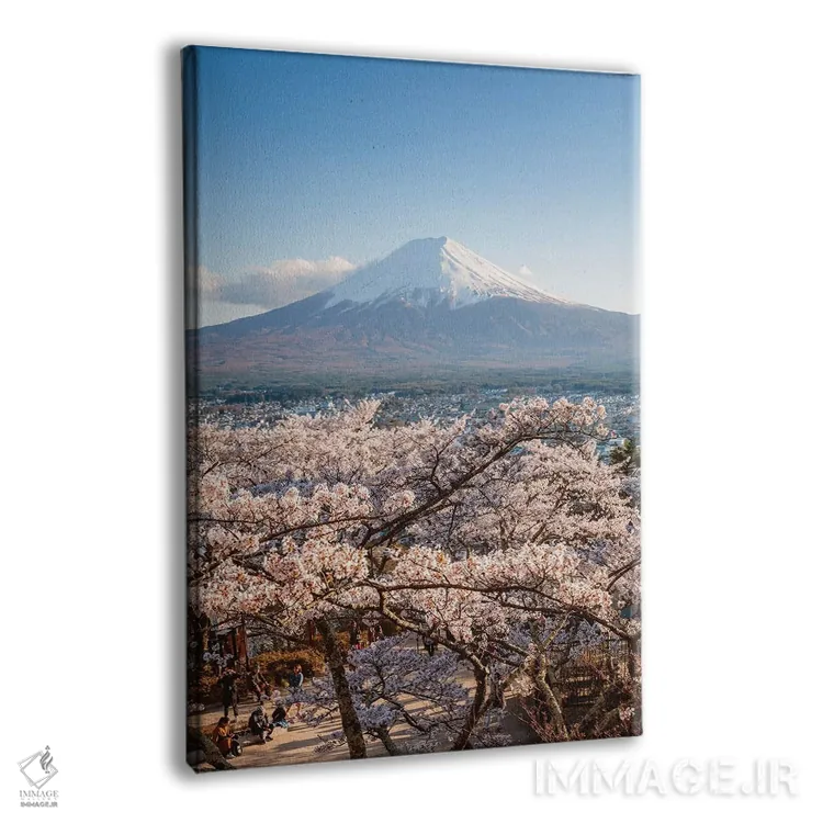 تابلو دکوراتیو Japan III,کوه فوجی و درختان گیلاس، ژاپن III اثر ماتئو کولومبو - نمای پرسپکتیو محصول