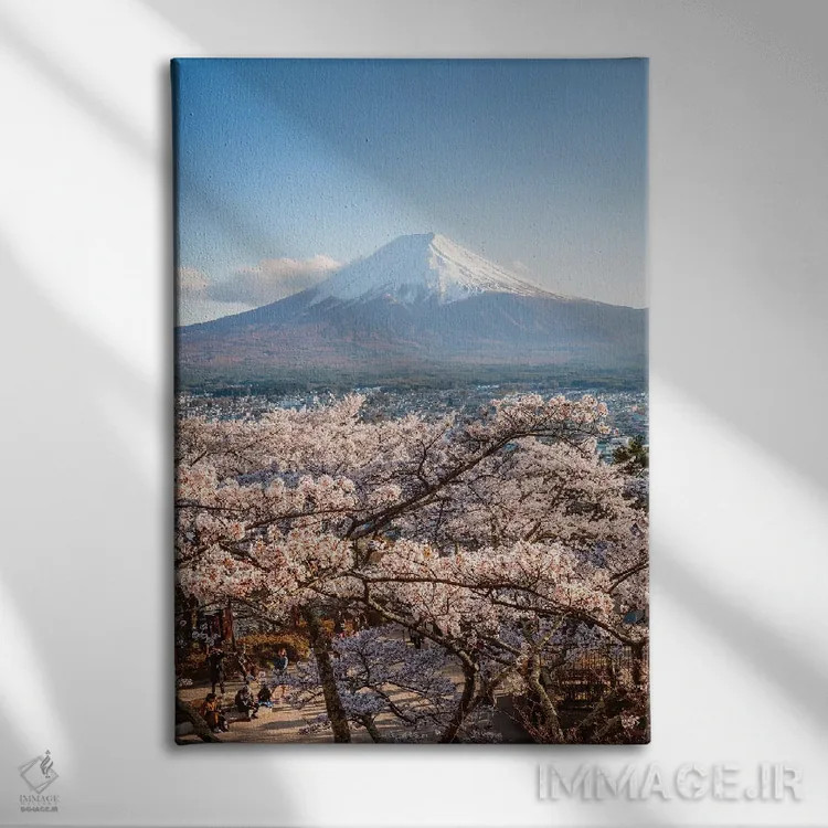 تابلو دکوراتیو Japan III,کوه فوجی و درختان گیلاس، ژاپن III اثر ماتئو کولومبو - نمای روبهرو روی دیوار