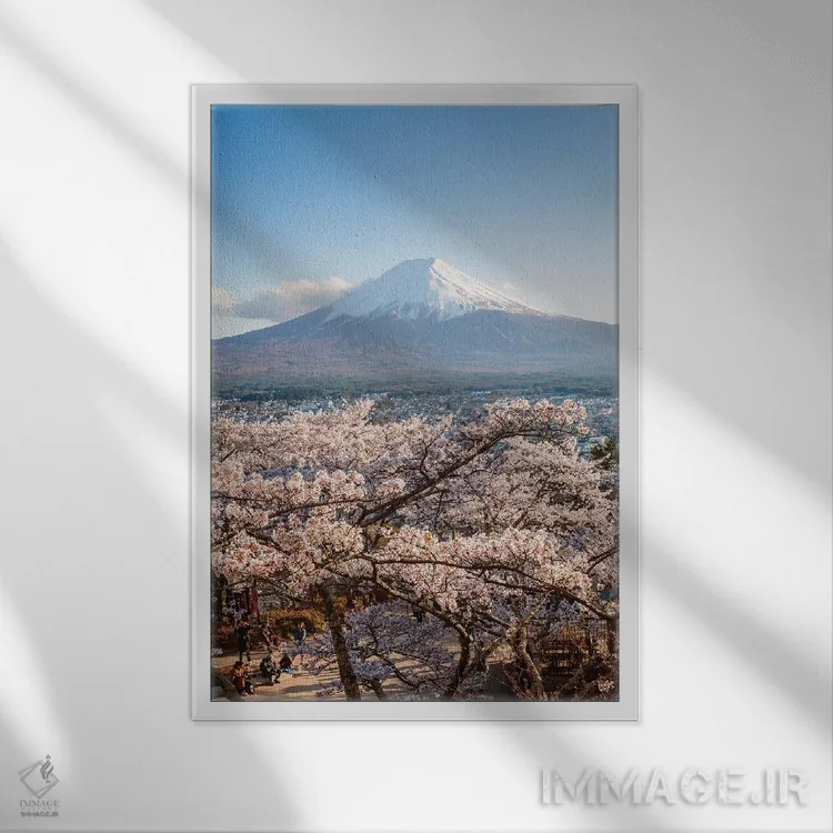 تابلو دکوراتیو Japan III,کوه فوجی و درختان گیلاس، ژاپن III اثر ماتئو کولومبو - نمای قابدار سفید