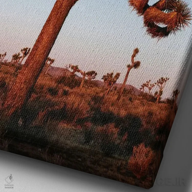 تابلو دکوراتیو California, USA,درخت جوشوا، کالیفرنیا، ایالات متحده آمریک… اثر ماتئو کولومبو - نمای نزدیک بافت بوم