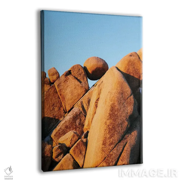 تابلو دکوراتیو Joshua Tree,سنگ تعادلی، درخت جوشوا اثر ماتئو کولومبو - نمای پرسپکتیو محصول
