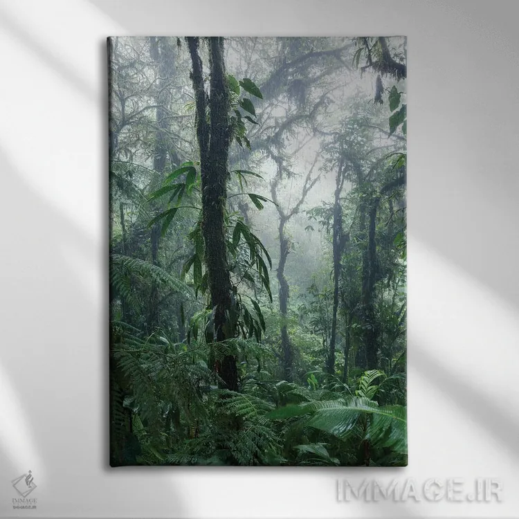 تابلو دکوراتیو Costa Rica,جنگل ابری مونته ورده، کاستاریکا اثر ماتئو کولومبو - نمای روبهرو روی دیوار