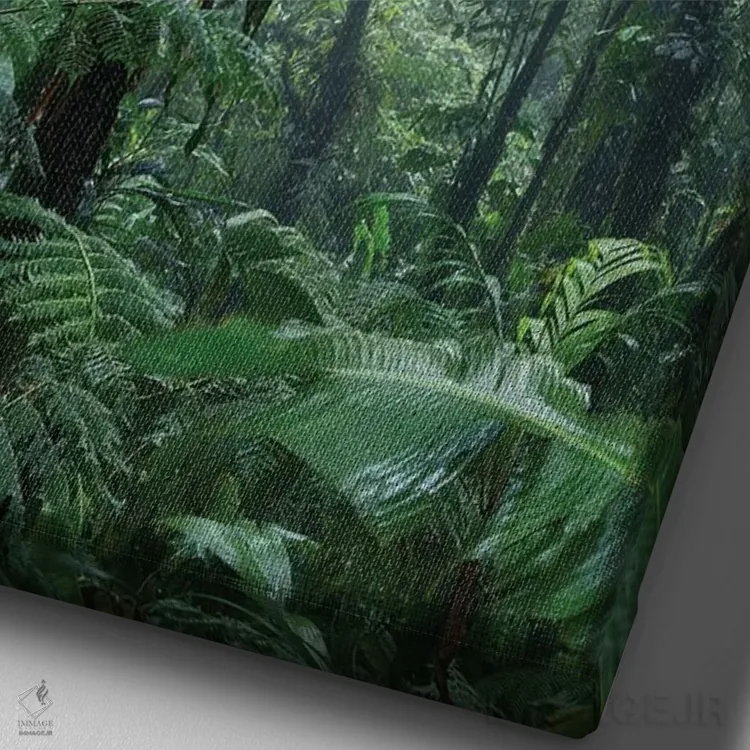 تابلو دکوراتیو Costa Rica,جنگل ابری مونته ورده، کاستاریکا اثر ماتئو کولومبو - نمای نزدیک بافت بوم