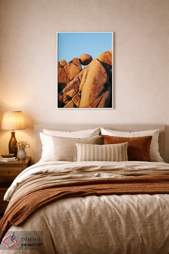 تابلو دکوراتیو Joshua Tree,سنگ تعادلی، درخت جوشوا اثر ماتئو کولومبو - D5W