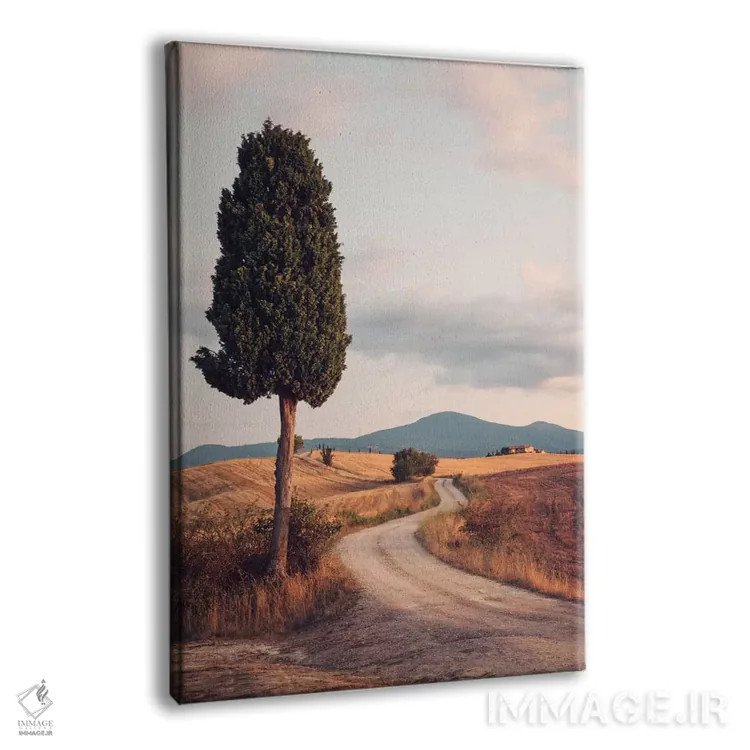 تابلو دکوراتیو Tuscany, Italy,جاده روستایی با سرو، توسکانی، ایتالیا اثر ماتئو کولومبو - نمای پرسپکتیو محصول