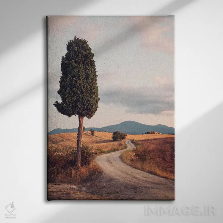 تابلو دکوراتیو Tuscany, Italy,جاده روستایی با سرو، توسکانی، ایتالیا اثر ماتئو کولومبو - نمای روبهرو روی دیوار