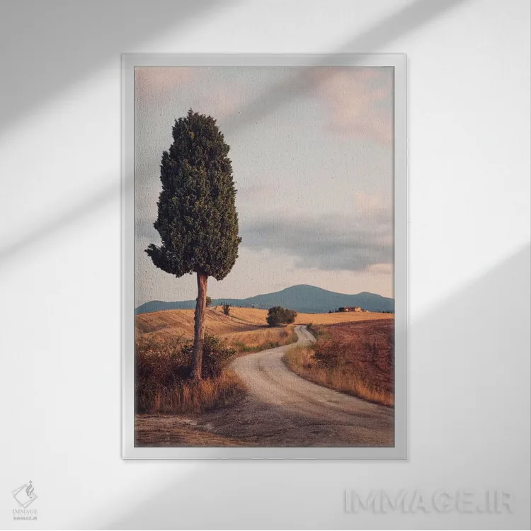 تابلو دکوراتیو Tuscany, Italy,جاده روستایی با سرو، توسکانی، ایتالیا اثر ماتئو کولومبو - نمای قابدار سفید