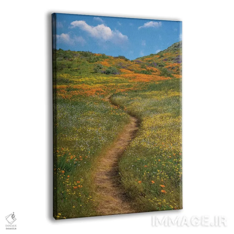 تابلو دکوراتیو Desert Bluebell And Wildflower Spring Bloom, Diamond Valle… اثر تیم فیتزهریس - نمای پرسپکتیو محصول
