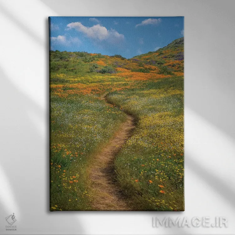 تابلو دکوراتیو Desert Bluebell And Wildflower Spring Bloom, Diamond Valle… اثر تیم فیتزهریس - نمای روبهرو روی دیوار