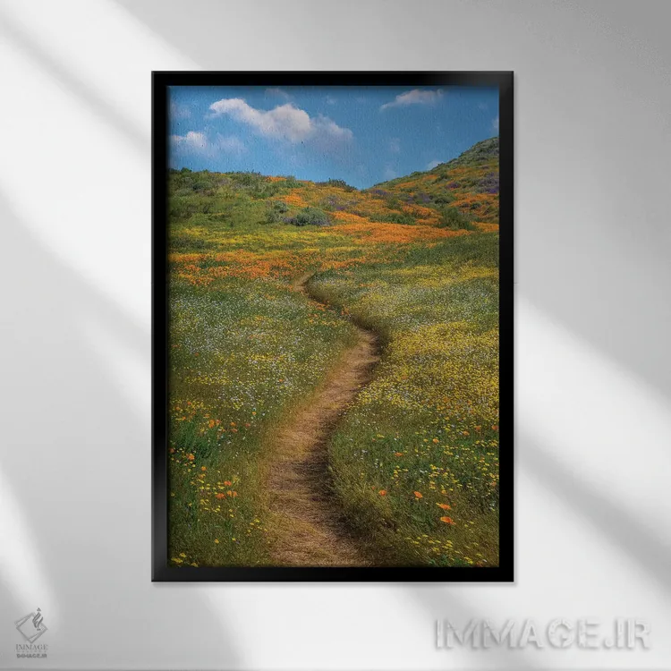 تابلو دکوراتیو Desert Bluebell And Wildflower Spring Bloom, Diamond Valle… اثر تیم فیتزهریس - نمای قابدار مشکی