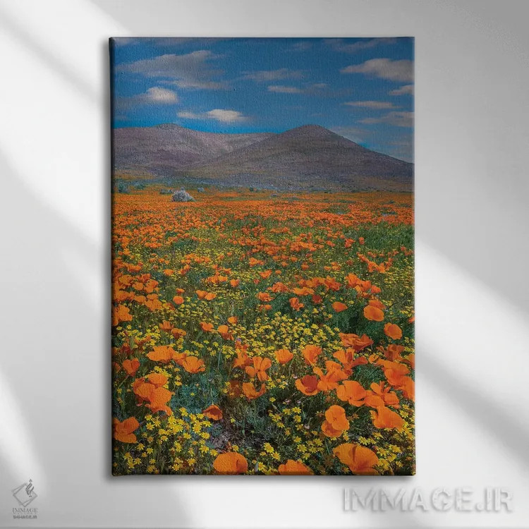 تابلو دکوراتیو Superbloom, Antelope Valley, California,شقایق کالیفرنیا، ف… اثر تیم فیتزهریس - نمای روبهرو روی دیوار