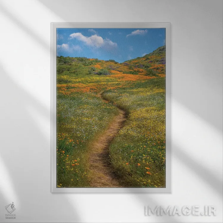تابلو دکوراتیو Desert Bluebell And Wildflower Spring Bloom, Diamond Valle… اثر تیم فیتزهریس - نمای قابدار سفید