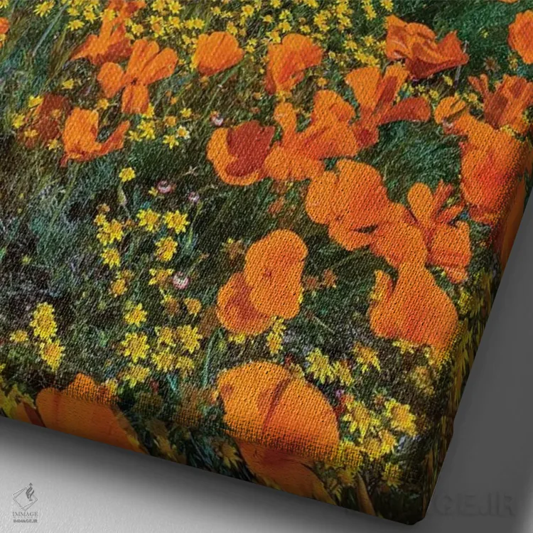 تابلو دکوراتیو Superbloom, Antelope Valley, California,شقایق کالیفرنیا، ف… اثر تیم فیتزهریس - نمای نزدیک بافت بوم