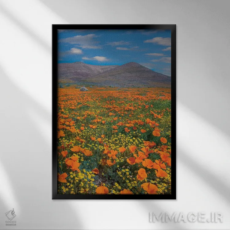 تابلو دکوراتیو Superbloom, Antelope Valley, California,شقایق کالیفرنیا، ف… اثر تیم فیتزهریس - نمای قابدار مشکی