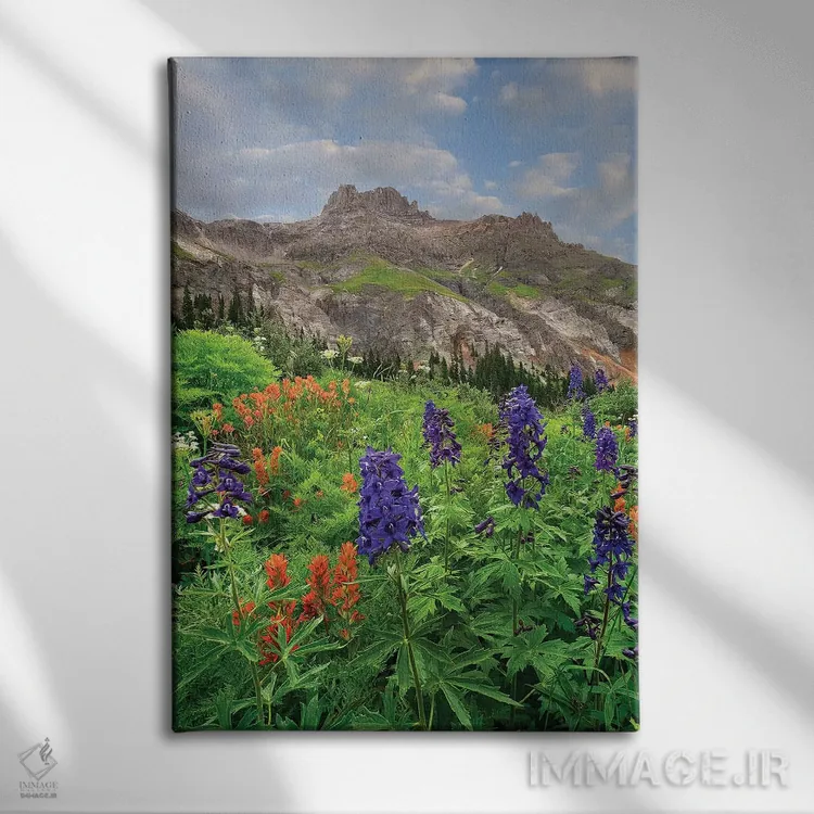 تابلو دکوراتیو Yankee Boy Basin, San Juan Mts, Colorado,گل لارک اسپور و پ… اثر تیم فیتزهریس - نمای روبهرو روی دیوار
