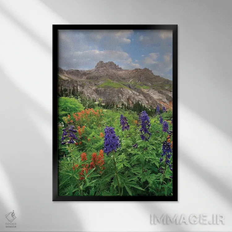 تابلو دکوراتیو Yankee Boy Basin, San Juan Mts, Colorado,گل لارک اسپور و پ… اثر تیم فیتزهریس - نمای قابدار مشکی