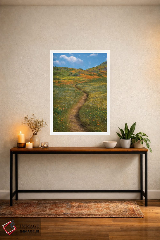 تابلو دکوراتیو Desert Bluebell And Wildflower Spring Bloom, Diamond Valle… اثر تیم فیتزهریس - D3W