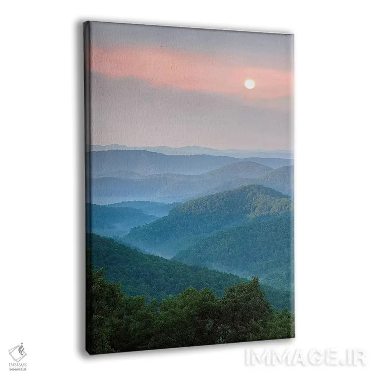 تابلو دکوراتیو North Carolina,طلوع بر فراز جنگل ملی پیسگاه، کارولینای شما… اثر تیم فیتزهریس - نمای پرسپکتیو محصول