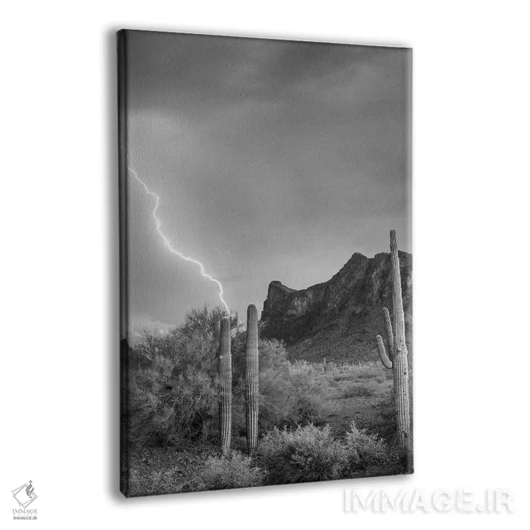 تابلو دکوراتیو Picacho State Park, Arizona,رعد و برق بر فراز قله پیکاچو… اثر تیم فیتزهریس - نمای پرسپکتیو محصول