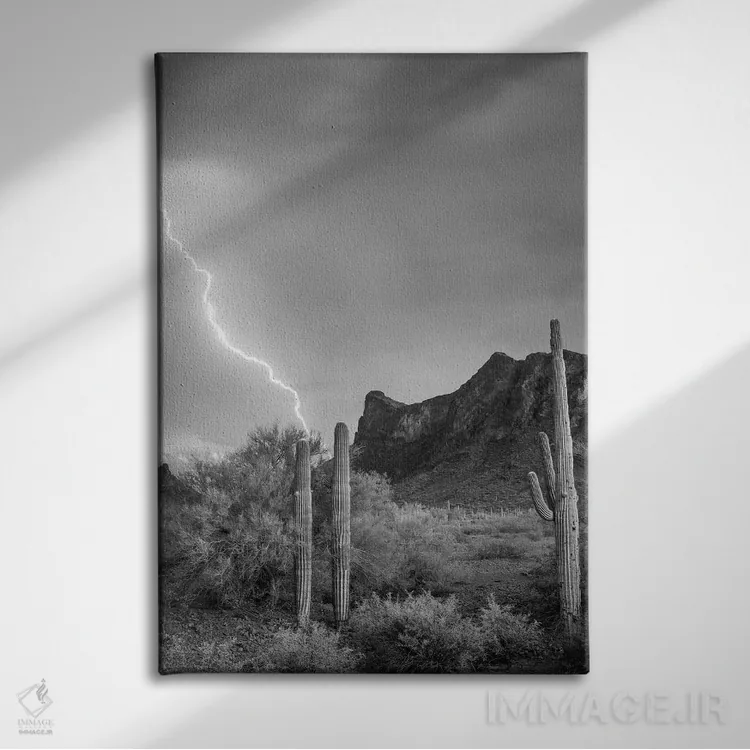 تابلو دکوراتیو Picacho State Park, Arizona,رعد و برق بر فراز قله پیکاچو… اثر تیم فیتزهریس - نمای روبهرو روی دیوار