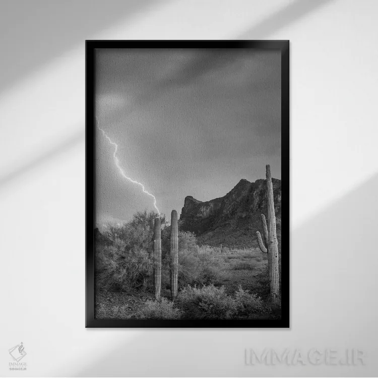 تابلو دکوراتیو Picacho State Park, Arizona,رعد و برق بر فراز قله پیکاچو… اثر تیم فیتزهریس - نمای قابدار مشکی