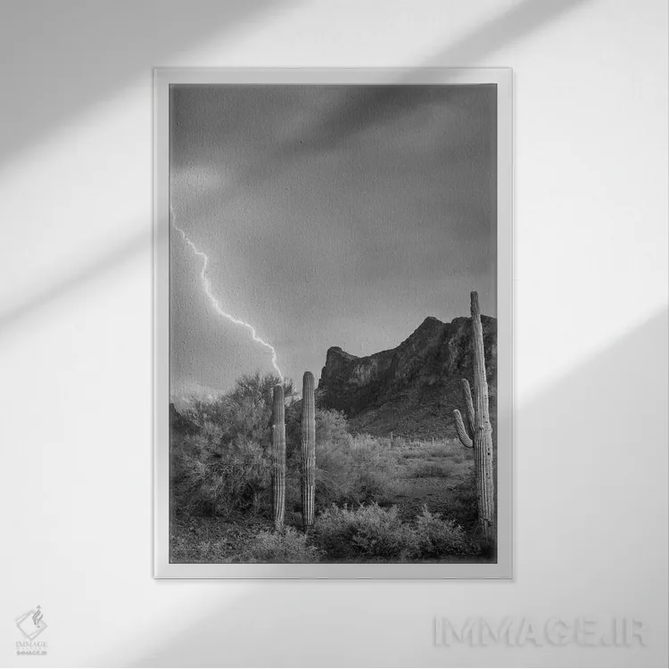 تابلو دکوراتیو Picacho State Park, Arizona,رعد و برق بر فراز قله پیکاچو… اثر تیم فیتزهریس - نمای قابدار سفید