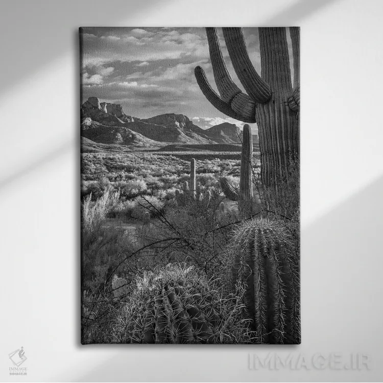 تابلو دکوراتیو Sant Catalina Mountains, Catalina State Park, Arizona,کاکت… اثر تیم فیتزهریس - نمای روبهرو روی دیوار