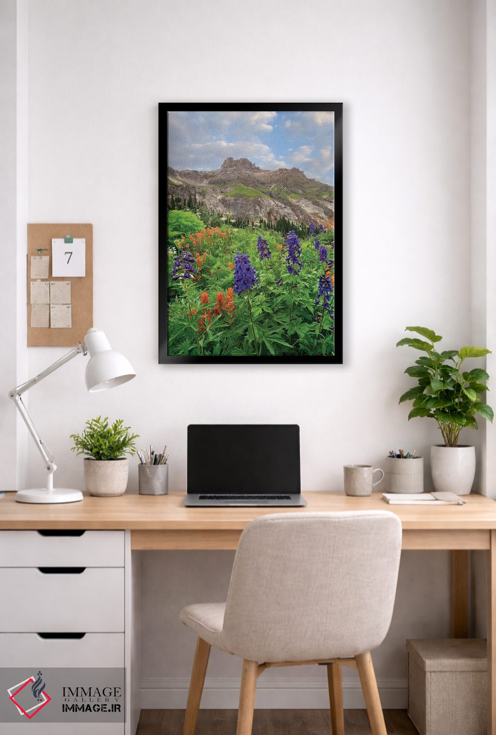 تابلو دکوراتیو Yankee Boy Basin, San Juan Mts, Colorado,گل لارک اسپور و پ… اثر تیم فیتزهریس - D5B
