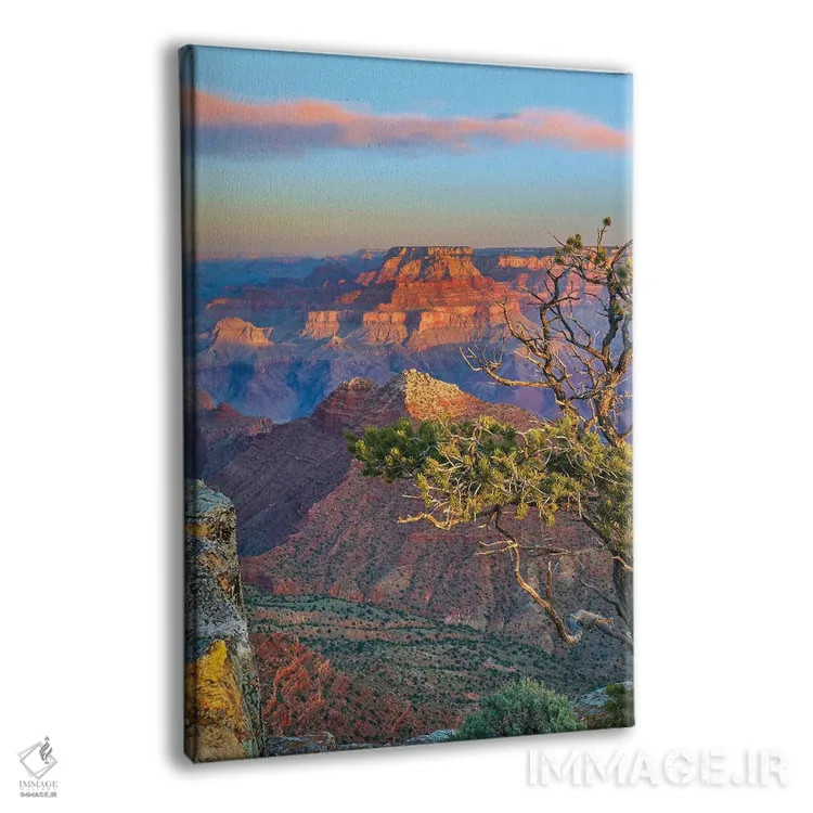 تابلو دکوراتیو Grand Canyon National Park, Arizona,گرند کنیون از نقطه تما… اثر تیم فیتزهریس - نمای پرسپکتیو محصول