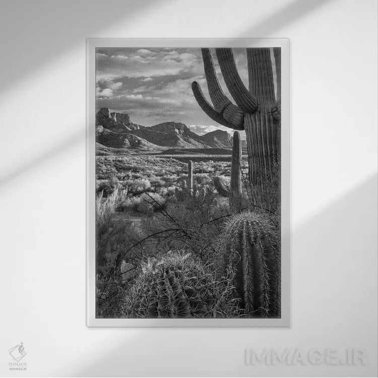 تابلو دکوراتیو Sant Catalina Mountains, Catalina State Park, Arizona,کاکت… اثر تیم فیتزهریس - نمای قابدار سفید