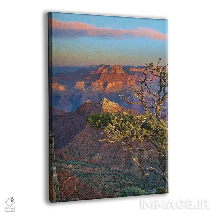 تابلو دکوراتیو Grand Canyon National Park, Arizona,گرند کنیون، پارک ملی گ… اثر تیم فیتزهریس - نمای پرسپکتیو محصول