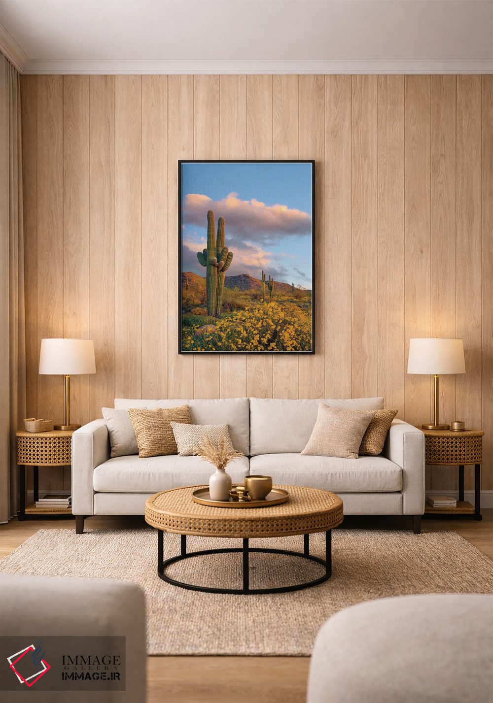 تابلو دکوراتیو White Tank Mountains, Arizona,ساگوارو و بریتل بوش در بهار… اثر تیم فیتزهریس - D1B