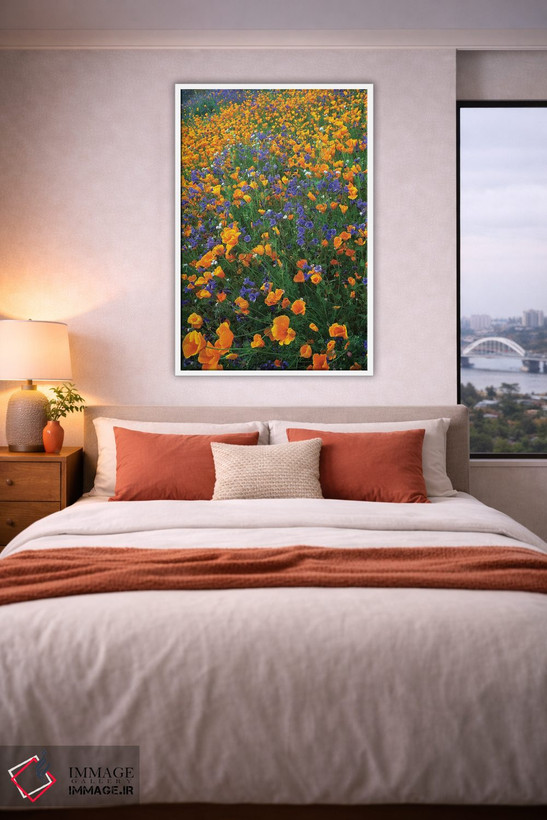 تابلو دکوراتیو Antelope Valley, California II,شقایق کالیفرنیا و گل زنگوله… اثر تیم فیتزهریس - D3W