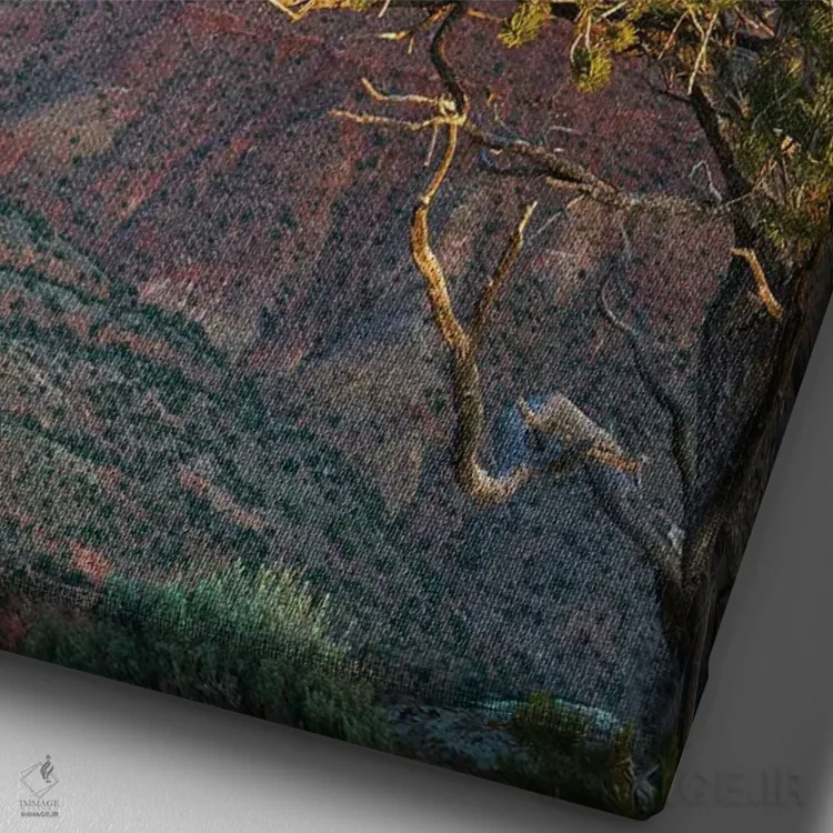 تابلو دکوراتیو Grand Canyon National Park, Arizona,گرند کنیون، پارک ملی گ… اثر تیم فیتزهریس - نمای نزدیک بافت بوم