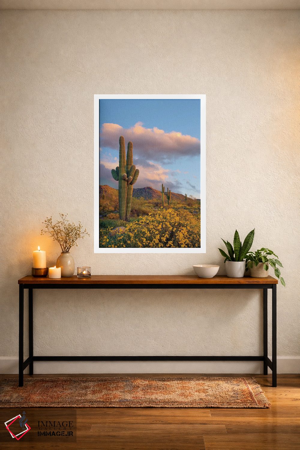 تابلو دکوراتیو White Tank Mountains, Arizona,ساگوارو و بریتل بوش در بهار… اثر تیم فیتزهریس - D3W