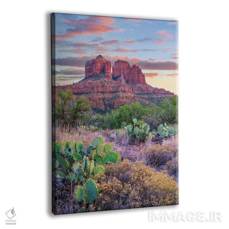 تابلو دکوراتیو Cathedral Rock, Sedona, Arizona,کاکتوس اپونتیا، صخره کاتدر… اثر تیم فیتزهریس - نمای پرسپکتیو محصول