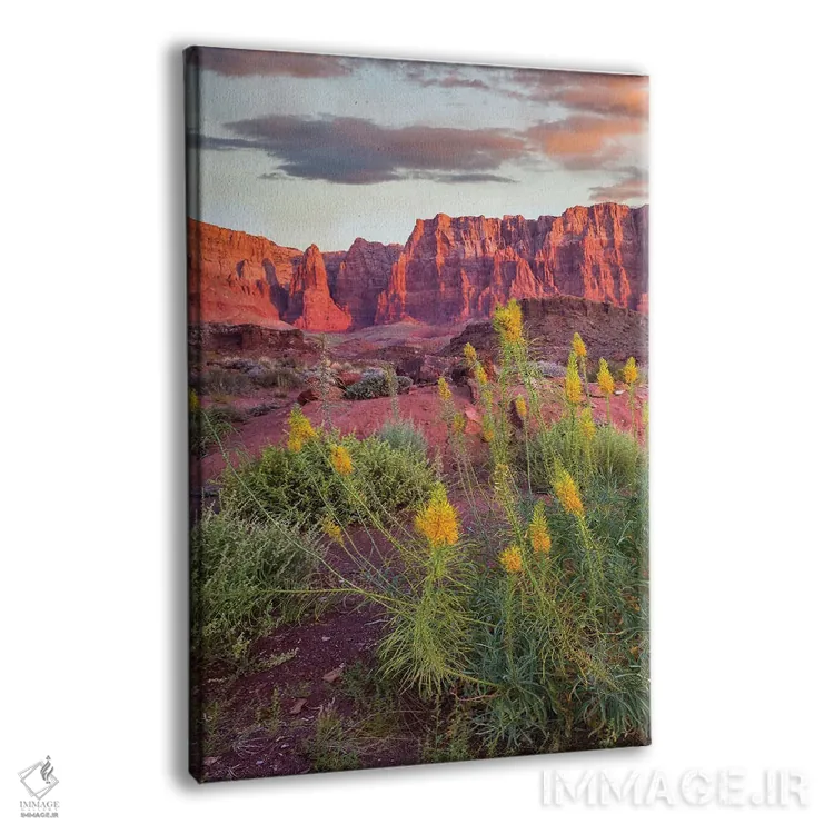 تابلو دکوراتیو Cathedral Wash, Vermilion Cliffs National Monument, Arizon… اثر تیم فیتزهریس - نمای پرسپکتیو محصول