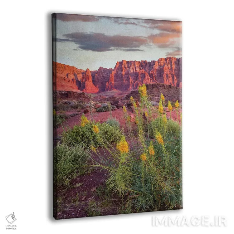 تابلو دکوراتیو Cathedral Wash, Vermilion Cliffs National Monument, Arizon… اثر تیم فیتزهریس - نمای پرسپکتیو محصول