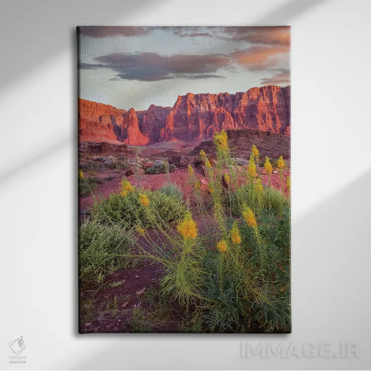 تابلو دکوراتیو Cathedral Wash, Vermilion Cliffs National Monument, Arizon… اثر تیم فیتزهریس - نمای روبهرو روی دیوار
