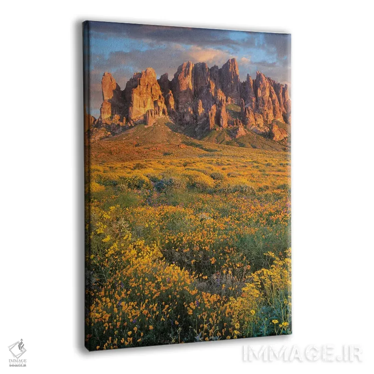 تابلو دکوراتیو Lost Dutchman State Park, Arizona,گل های وحشی و کوه های سو… اثر تیم فیتزهریس - نمای پرسپکتیو محصول