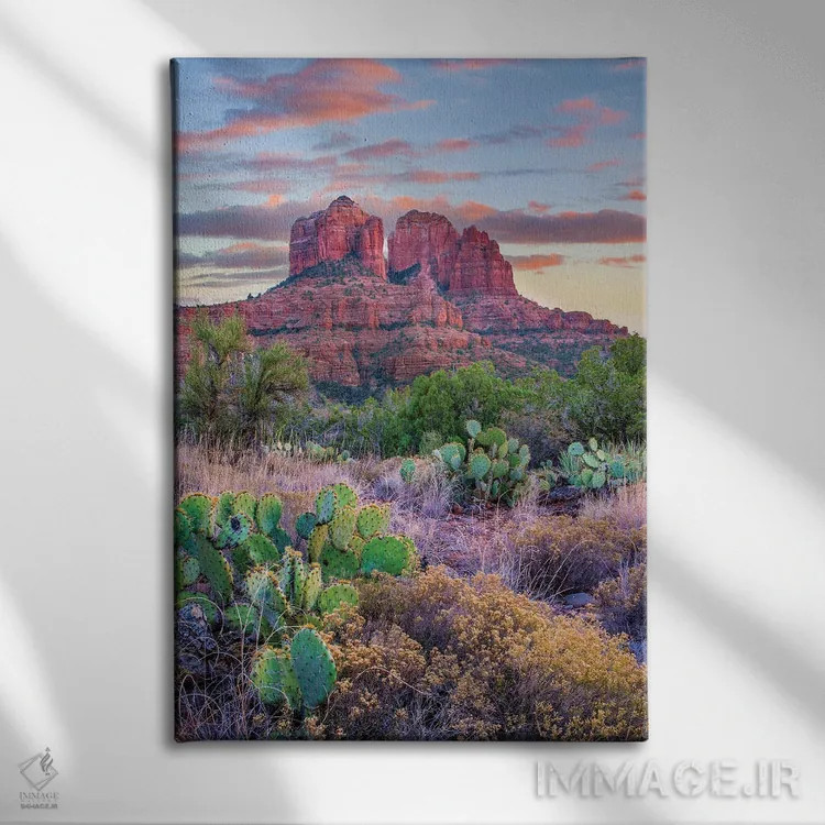 تابلو دکوراتیو Cathedral Rock, Sedona, Arizona,کاکتوس اپونتیا، صخره کاتدر… اثر تیم فیتزهریس - نمای روبهرو روی دیوار