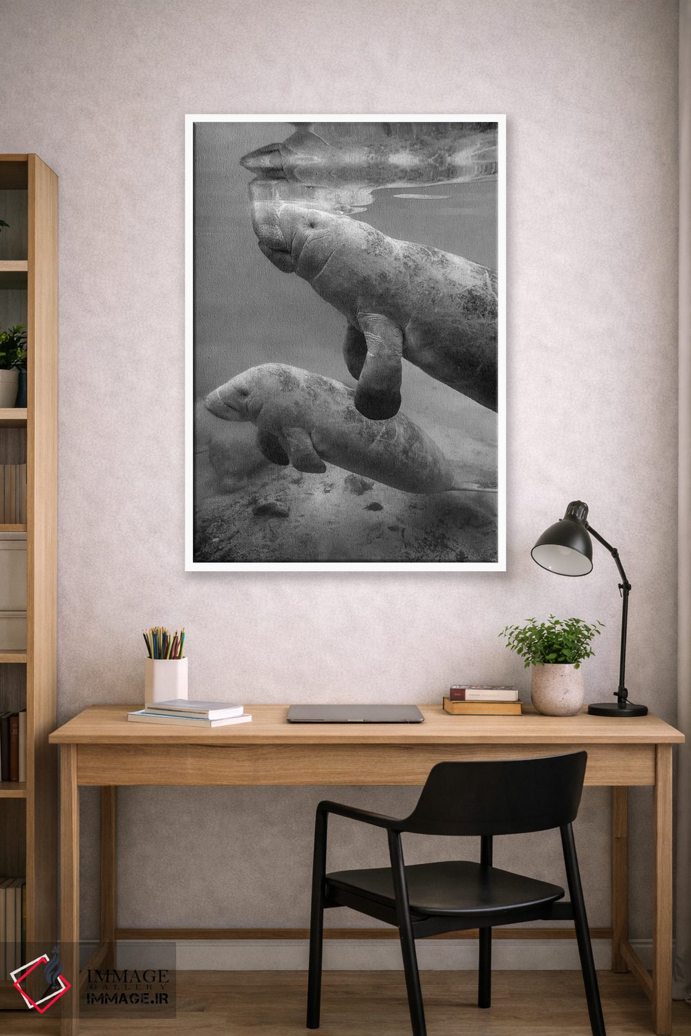تابلو دکوراتیو Crystal River, Florida,ماناتوی هندی غربی ماده و گوساله اش… اثر تیم فیتزهریس - D2W