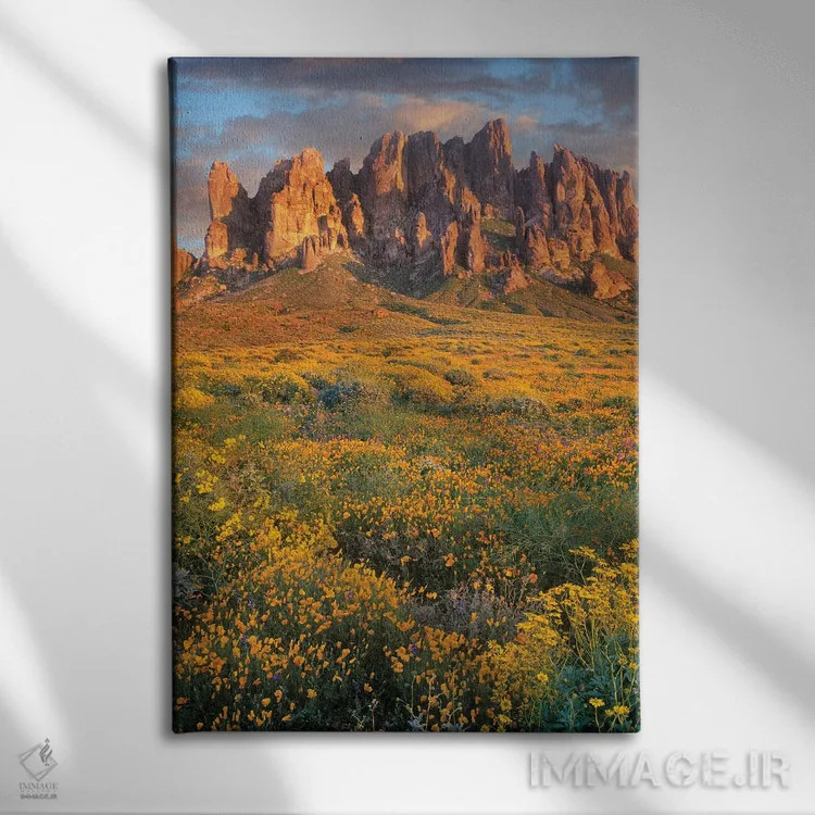تابلو دکوراتیو Lost Dutchman State Park, Arizona,گل های وحشی و کوه های سو… اثر تیم فیتزهریس - نمای روبهرو روی دیوار