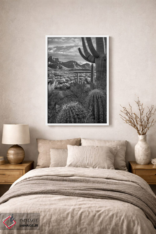 تابلو دکوراتیو Sant Catalina Mountains, Catalina State Park, Arizona,کاکت… اثر تیم فیتزهریس - D1W