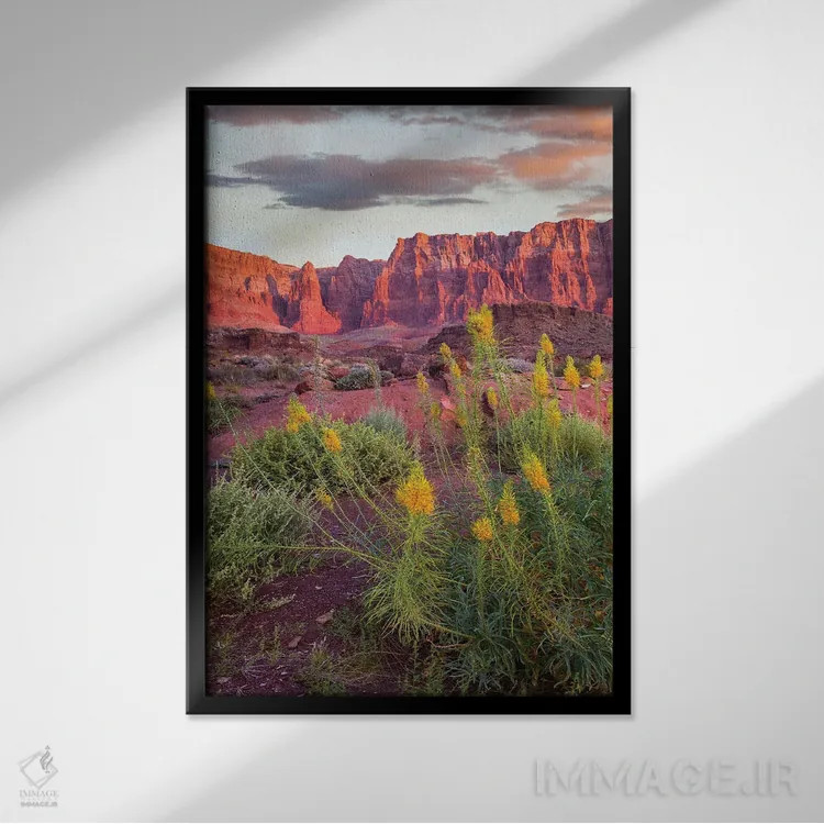 تابلو دکوراتیو Cathedral Wash, Vermilion Cliffs National Monument, Arizon… اثر تیم فیتزهریس - نمای قابدار مشکی