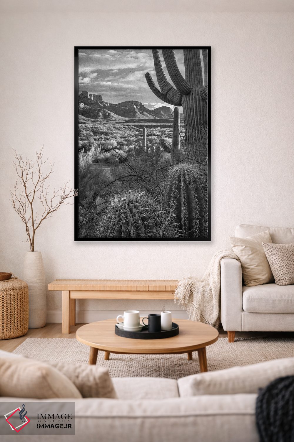 تابلو دکوراتیو Sant Catalina Mountains, Catalina State Park, Arizona,کاکت… اثر تیم فیتزهریس - D2B